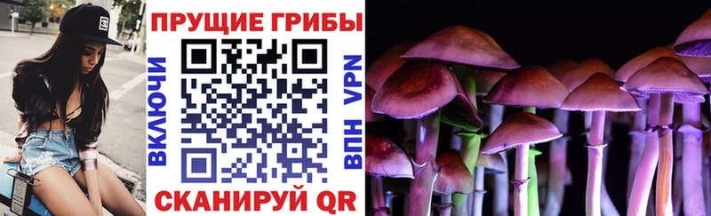 Псилоцибиновые грибы GOLDEN TEACHER  Менделеевск 