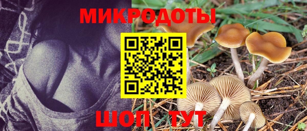 Галлюциногенные грибы GOLDEN TEACHER  магазин продажи   Вход с VPN  Менделеевск  Галлюциногенные грибы прущие грибы 