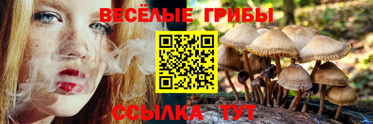 Галлюциногенные грибы GOLDEN TEACHER Менделеевск