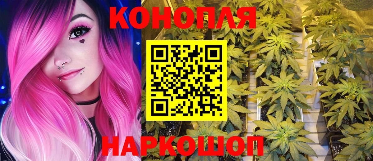 Шишки марихуана марихуана Менделеевск